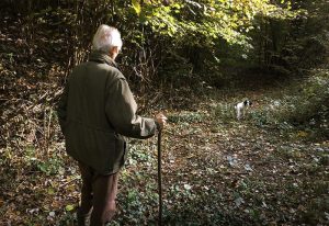 La ricerca del tartufo / Truffle hunting